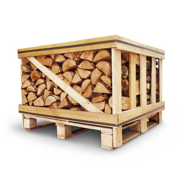 Caisse de bouleau ordinaire – Bois de chauffe
